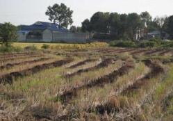 土壤、沉积物和固体废弃物